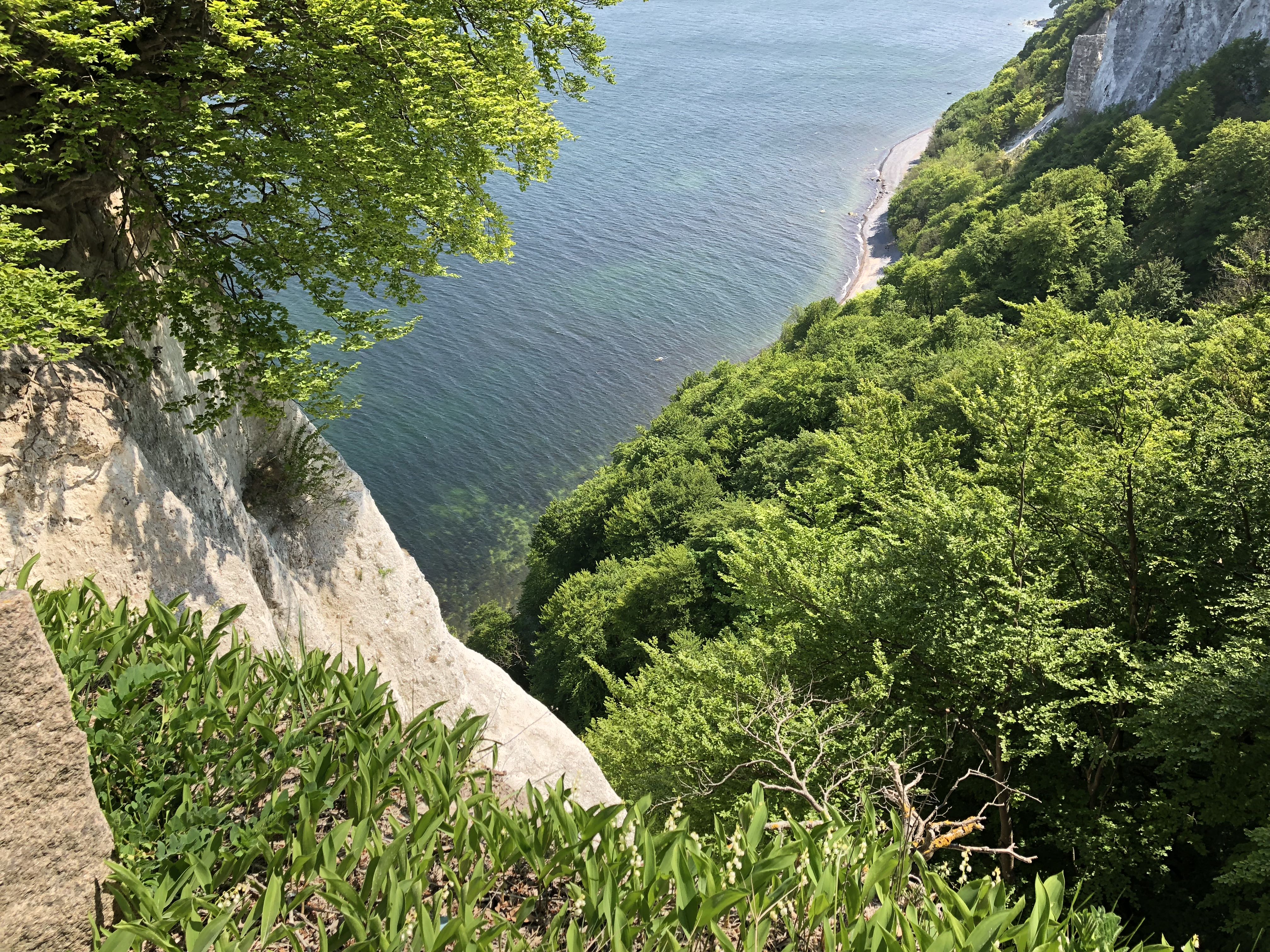 Falaises de craie de Rügen