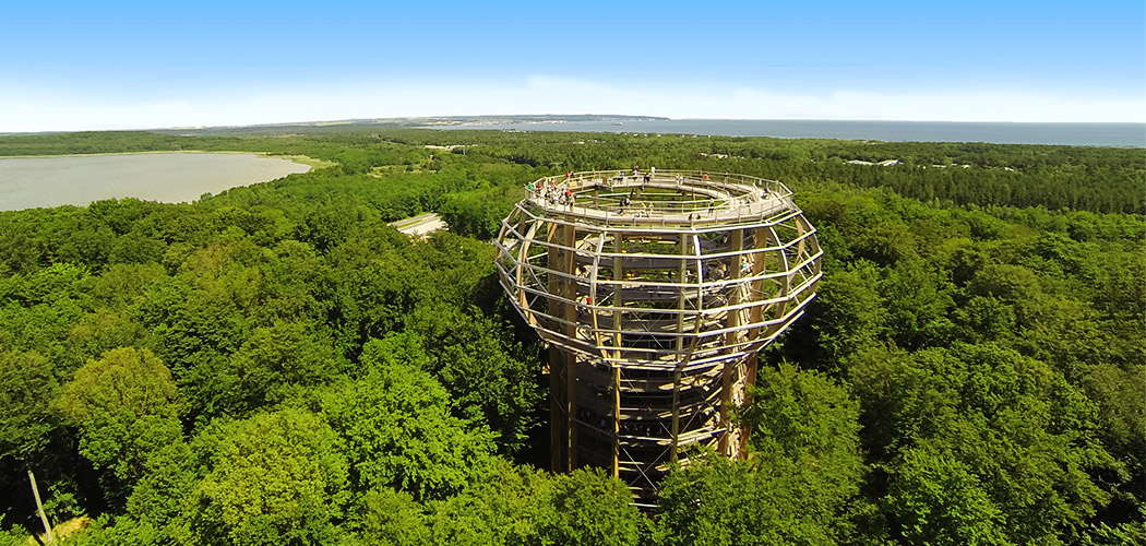 Naturerbe Zentrum Rügen / Baumwipfelpfad