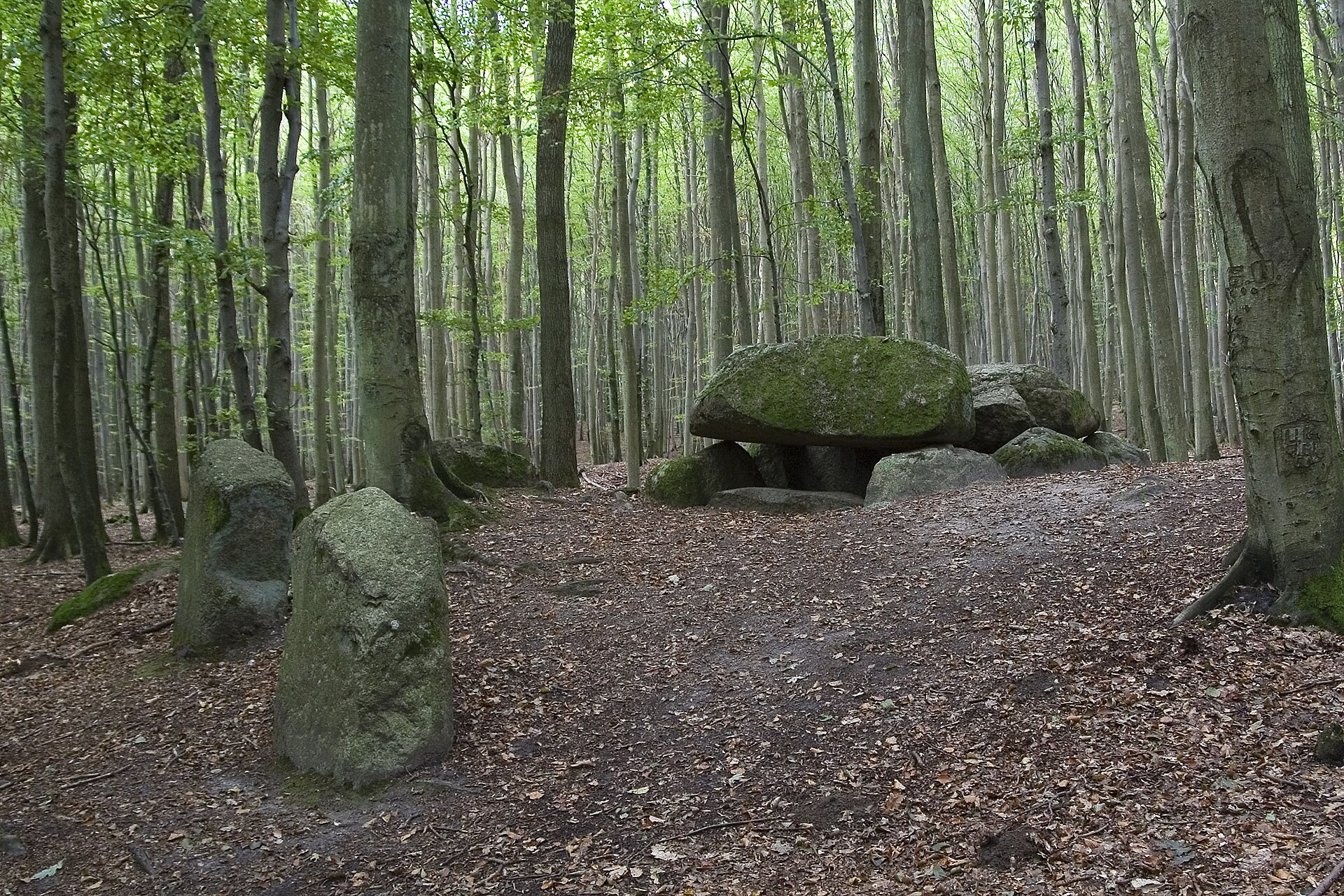 Jasmund: Waldhalle en Kieler Bach
